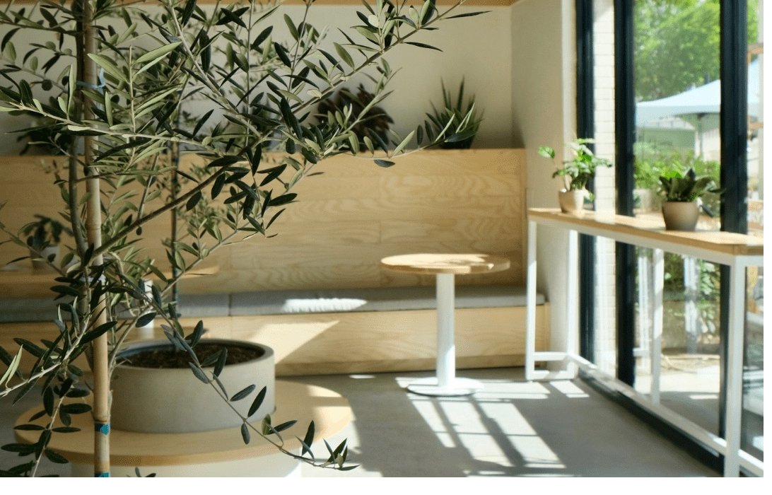 oneC1TY café